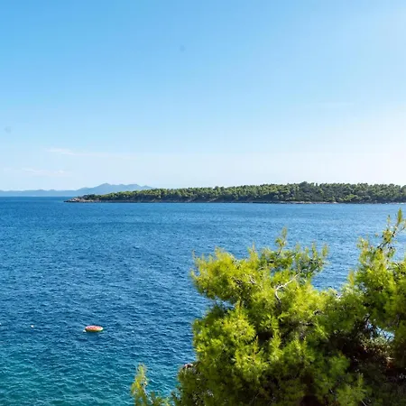 Bb بيت للعطل *